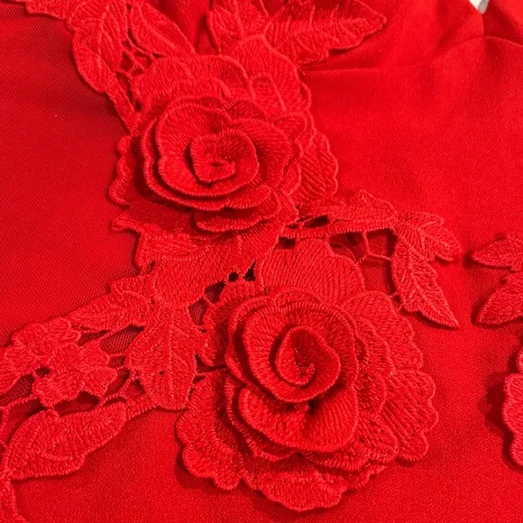 Windsor Scarlet Lace Detail Mini Dress - Picture 7 of 7